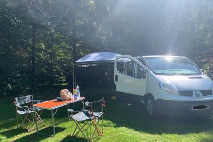 Renault Trafic Gebrauchtwagen