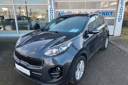 Ligier Sportage 