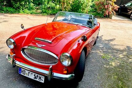 Austin Healey Andere Gebrauchtwagen