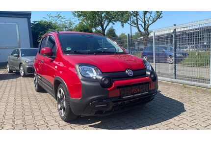 Fiat Panda Gebrauchtwagen