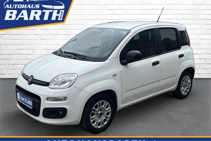 Fiat Panda Gebrauchtwagen