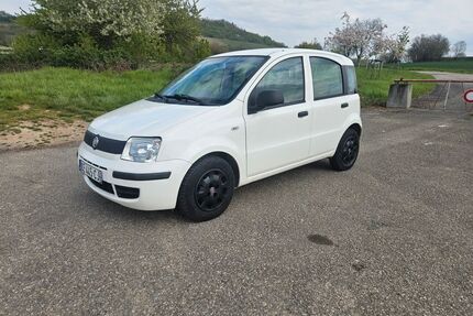 Fiat Panda Gebrauchtwagen