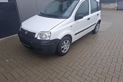 Fiat Panda Gebrauchtwagen