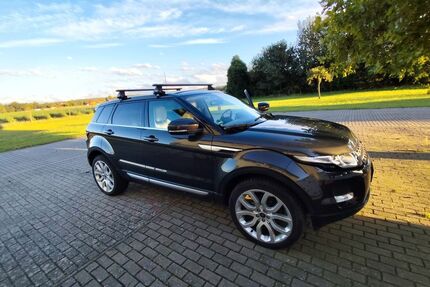 Land Rover Range Rover Evoque Gebrauchtwagen