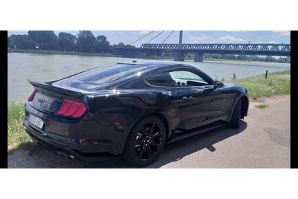 Ford Mustang Gebrauchtwagen
