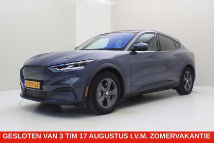 Ford Mustang Mach-E Gebrauchtwagen