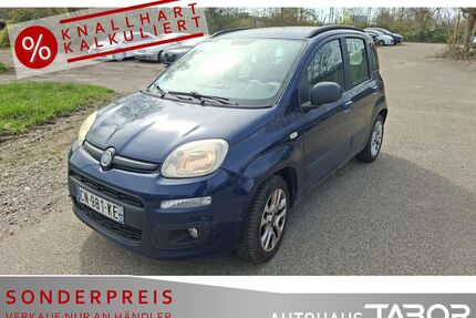 Fiat Panda Gebrauchtwagen