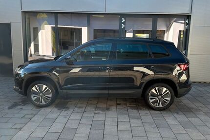 Skoda Karoq Gebrauchtwagen