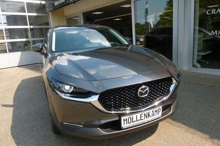 Mazda CX-30 Gebrauchtwagen