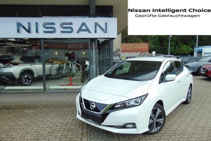 Nissan Leaf Gebrauchtwagen