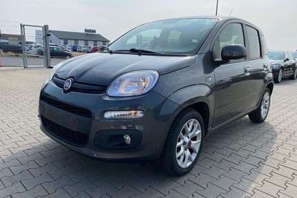 Fiat Panda Gebrauchtwagen
