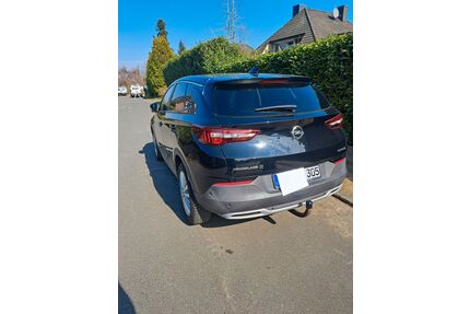 Opel Grandland (X) Gebrauchtwagen