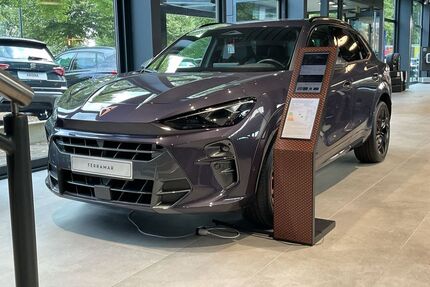 Cupra Terramar Gebrauchtwagen