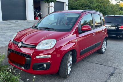 Fiat Panda Gebrauchtwagen