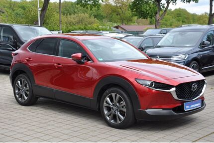 Mazda CX-30 Gebrauchtwagen