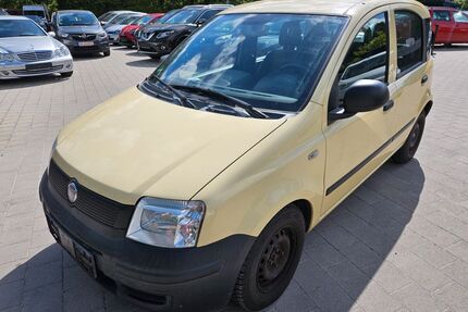 Fiat Panda Gebrauchtwagen