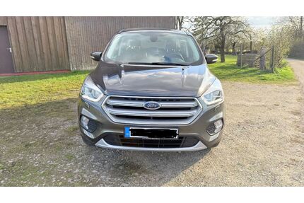 Ford Kuga Gebrauchtwagen