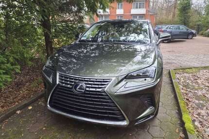 Lexus NX 300h Gebrauchtwagen
