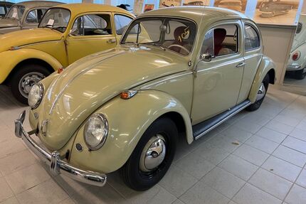 VW Käfer Gebrauchtwagen