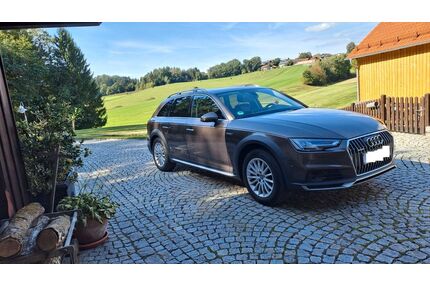 Audi A4 Allroad Gebrauchtwagen