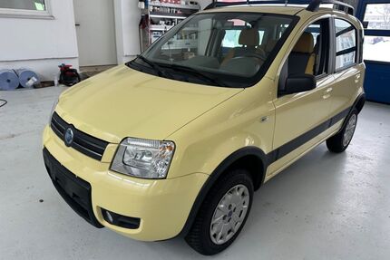 Fiat Panda Gebrauchtwagen