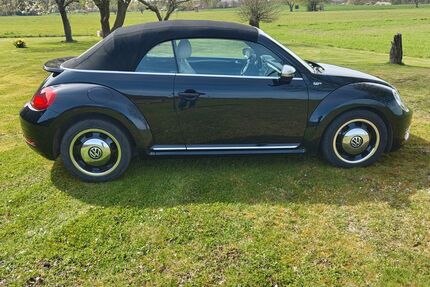VW Beetle Gebrauchtwagen