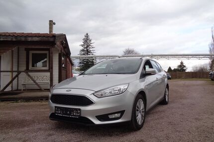 Ford Focus Gebrauchtwagen