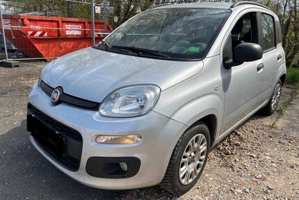 Fiat Panda Gebrauchtwagen