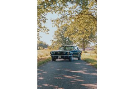 Ford Mustang Gebrauchtwagen