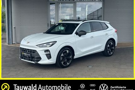 Cupra Terramar Gebrauchtwagen