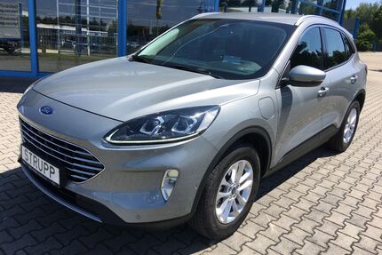 Ford Kuga Gebrauchtwagen