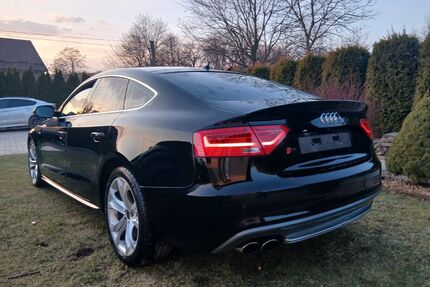 Audi S5 Gebrauchtwagen
