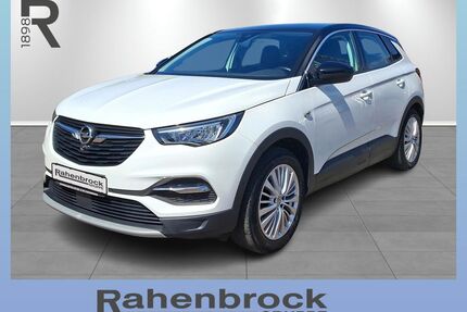 Opel Grandland (X) Gebrauchtwagen