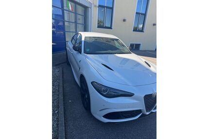 Alfa Romeo Giulia Gebrauchtwagen