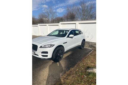 Jaguar F-Pace Gebrauchtwagen