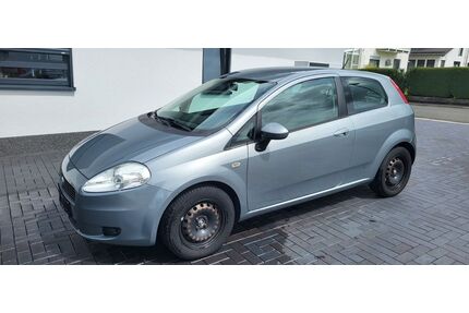 Fiat Punto Gebrauchtwagen
