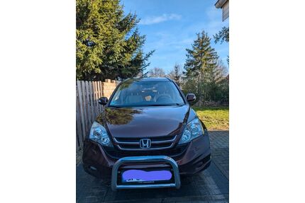Honda CR-V Gebrauchtwagen