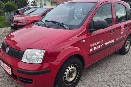 Fiat Panda Gebrauchtwagen