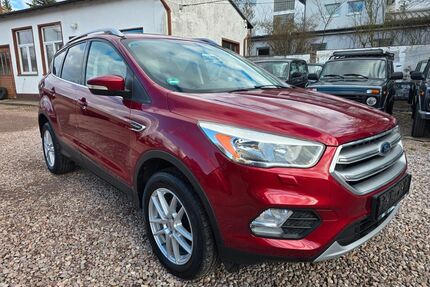 Ford Kuga Gebrauchtwagen