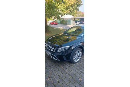 Mercedes-Benz 220 Gebrauchtwagen
