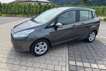 Ford B-Max Gebrauchtwagen