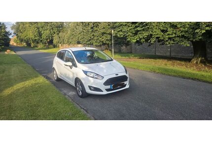 Ford Fiesta Gebrauchtwagen