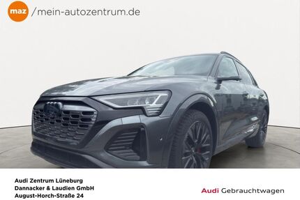 Audi Q8 e-tron Gebrauchtwagen