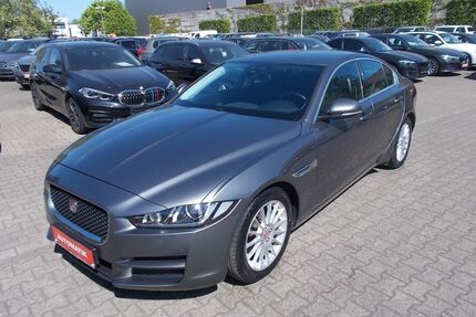 Jaguar XE Gebrauchtwagen