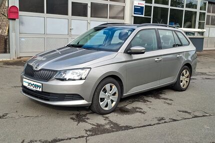 Skoda Fabia Gebrauchtwagen