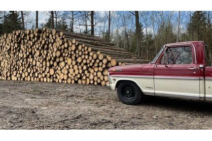 Ford F 250 Gebrauchtwagen