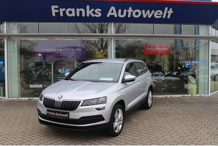 Skoda Karoq Gebrauchtwagen