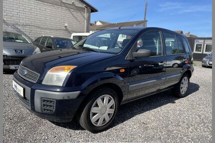 Ford Fusion Gebrauchtwagen