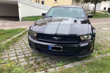 Ford Mustang Gebrauchtwagen