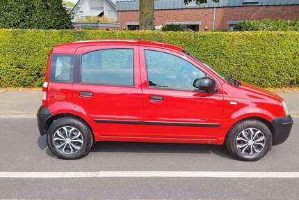 Fiat Panda Gebrauchtwagen